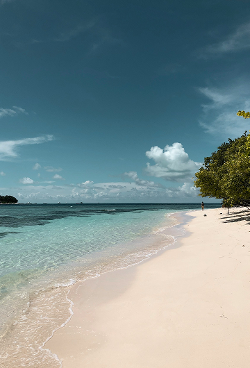 Beach coastline
