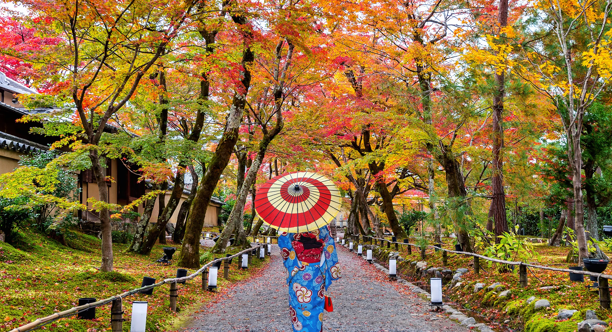 A journey layered in culture and colour